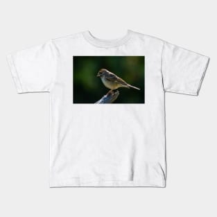 Lark Sparrow Early Morning Kids T-Shirt